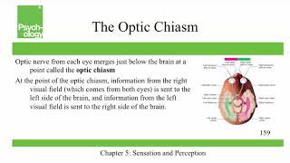 Openstax Psychology  Ch5  Sensation and Perception [upl. by Otiragram]