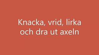 Byta bronslager Ecotec A4 pelletsbrännare [upl. by Pomfrey]