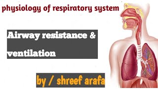 lec3 physiology  Airway resistance amp Alveolar ventilation [upl. by Klapp249]