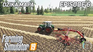 Straw Baling amp Using Windrower For Straw  FS19  Farming Simulator 19  Timelapse  Dzika Mapa  6 [upl. by Ahsekan]