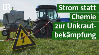 Unkraut vernichten ohne Chemie  wie gut funktioniert Unkrautbekämpfung mit Strom  Unser Land  BR [upl. by Eveivaneg]