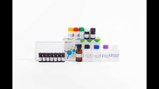 YR2SC0106 Furazolidone Metabolite AOZ ELISA Test Kit [upl. by Schriever572]