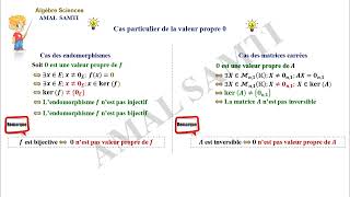 Réduction des endomorphismes partie N° 1 Les valeurs propres [upl. by Katerine]