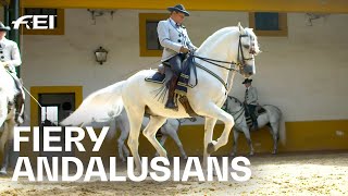 Something for the bucket list The 👑 Andalusian School of Equestrian Art RIDE presented by Longines [upl. by Pearce]