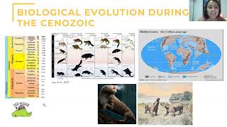 Paleoecology of Pleistocene Megafauna in the Americas [upl. by Ainosal809]