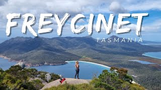 Discovering Paradise Freycinet National Park  Our Top Pick in Tasmanias Stunning Wilderness [upl. by Nattie629]