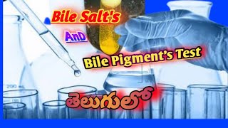 Bile Salts And Bile Pigment Test In TeluguMLTTeluguLab [upl. by Eenyaj]