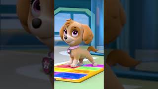 Do the Pup Pup Boogie 🕺💃 PAWPatrol Shorts dance [upl. by Aligna48]