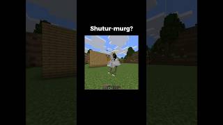 Minecraft WTF Moments Part1 indiangamer hindigameplay minecraftfunny funny [upl. by Ahsenrac23]