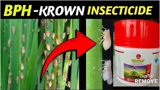 KROWN INSECTICIDE Dinotefuran 20 Translaminar insecticide  कृषि रसायन क्राउन कीटनाशक [upl. by Anivahs]