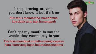 Shawn Mendes  Imagination  Lirik dan Terjemahan [upl. by Leirda]