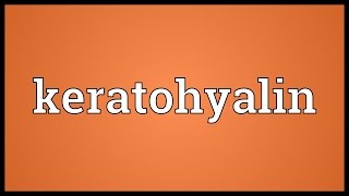 Keratohyalin Meaning [upl. by Trainer]