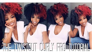 Curly Fro  Natrual Hair Twist Out Tutorial [upl. by Zarla]