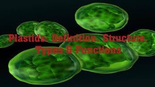 Plastids  Types Of Plastids  Chloroplast structure and functions  Leucoplasts  Chromoplasts [upl. by Sivrad698]