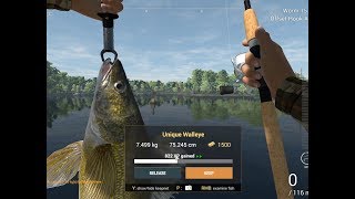 Fishing Planet – How to catch Unique Walleye at SaintCroix Lake Michigan [upl. by Nevaj]