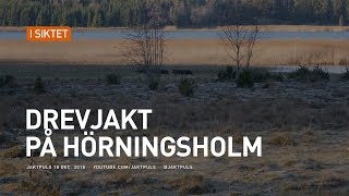 Drevjakt på Hörningsholm [upl. by Airemat]