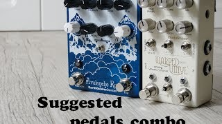 Suggested combo Chase Bliss Audio  Warped Vinyl and EarthQuaker Devices  Avalanche Run [upl. by Eirdua870]