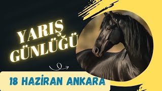 18 HAZİRAN ANKARA AT YARIŞI TAHMİNLERİ👑 🐎🐎 YARIŞ GÜNLÜĞÜ👑 [upl. by Murtha]