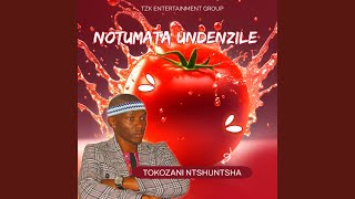 Notumata Undenzile [upl. by Ancilin]