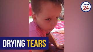 WATCH  3yearold Proteas fan in tears after Quinton de Kock loses wicket [upl. by Eckhardt324]