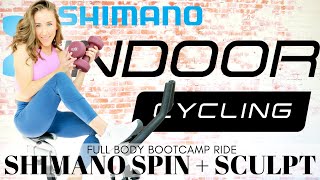 SHIMANO SPIN  SCULPT  30 Minute Spin Class With Weights • HIIT Cycling Bootcamp Workout [upl. by Claudetta]