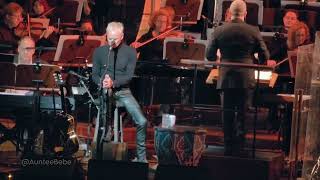 Sting  Live  Fields of Gold  SF Symphony February 14th 2024 Sting AunteeBebe [upl. by Clyve457]