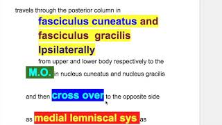 Astereognosis stereognosis two point discrimination graphesthesia Dejerine–Roussy syndrome [upl. by Malcah]