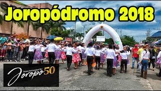 XVIII Desfile del Joropódromo 2018 [upl. by Jerome]