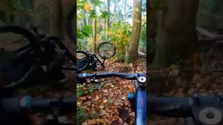 Fallen Leaves mtb enduromtb bike downhill mountainbike [upl. by Enaujed965]