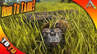 🔥 HOW TO TAME THE TITANOBOA SUPER EASY ARK TITANOBOA TAMING METHODS Ark Survival Patch 265 [upl. by Eidson50]