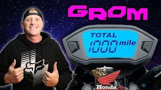 1000 MILE GROM UPDATE  Things I Hate  Oil Change amp More [upl. by Toth]