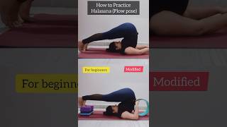 Halasana for beginnersytshorts yoga youtubeshorts youtube shorts reels [upl. by Devitt]