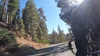 Generals Highway Giant Sequoias and a Harley [upl. by Kanter]