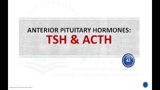 ACTH adrenocorticotropic hormone TSH Thyroid stimulating hormone Pharmacology [upl. by Yrrum432]