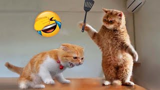 Funniest Animals 2023 😂 Funny Cats and Dogs 🐱🐶  Funny Animal Videos 2023 [upl. by Eikciv]