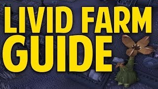 Runescape 3  Livid Farm Guide 2014  19k Produce PointsHour [upl. by Lewison]