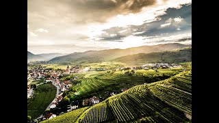 Das Weinbaugebiet Wachau [upl. by Nwahsuq855]