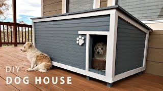 DIY Insulated Dog House Build [upl. by Narut898]