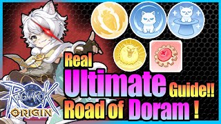 Real ULTIMATE Doram Guide Equipment Skill with Tips Included Ragnarok Origin Global [upl. by Ahsieker944]