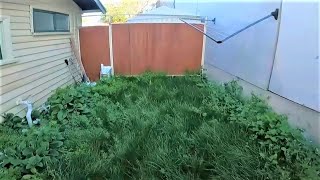 Crazy Overgrown Garden Gets Some Much Needed Attention  Lawn Mowing Service [upl. by Recneps734]