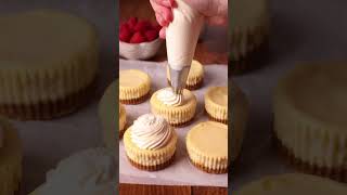 White Chocolate Mini Cheesecakes Recipe [upl. by Ylsel838]