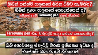 ඌරු පාලනයට අත්වැලක් 🐖How To Make Farrowing Pen🐖Pig ManagementUru palanaya Srilanka  Pig Farming [upl. by Haikan]