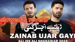 new noha zainab ujad gai ali jee ali shanawar [upl. by Hildegarde918]