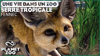 Serre Tropicale  Fennec  Épisode 28  PLANET ZOO  Franchise [upl. by Oicanata]