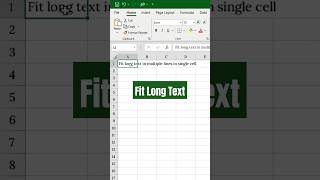 Fit Long Text in One Cell Wrap Text in Excel [upl. by Annaj]