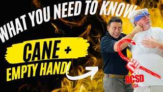 Cane Self Defense The Cane Empty Hand Connection What You Need To Know [upl. by Janka250]