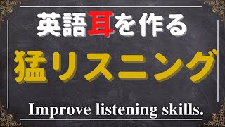 【圧巻の555 厳選フレーズ】猛リスニングで英語耳・英語脳を鍛える！ [upl. by Prudy]