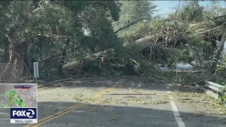 City of Saratoga allocates 800K towards recent storm damage fallen trees [upl. by Henning660]