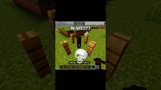 Wtf💀minecraft [upl. by Hsihsa88]