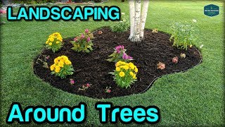 Landscaping  Edging  Mulching Around Trees [upl. by Kessia]